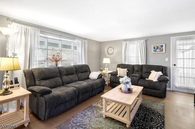 living room featuring hardwood / wood-style floors