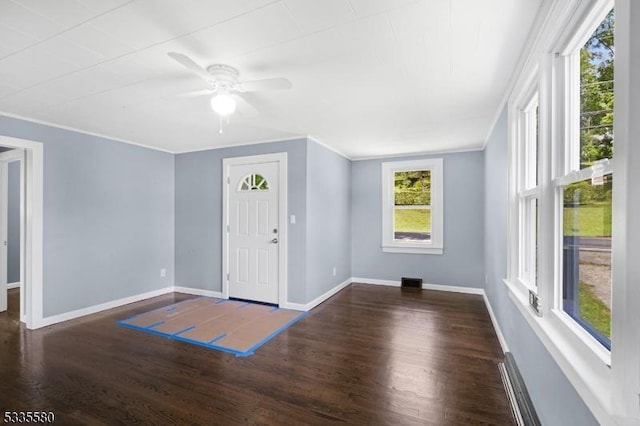 entrance foyer featuring crown molding, ceiling fan, and dark hardwood / wood-style floors