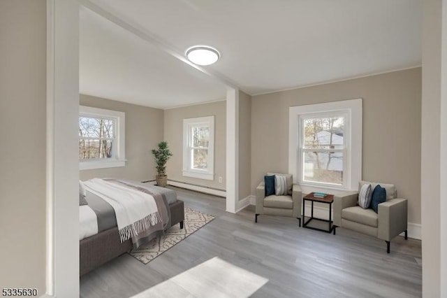 bedroom featuring multiple windows, light hardwood / wood-style flooring, and baseboard heating