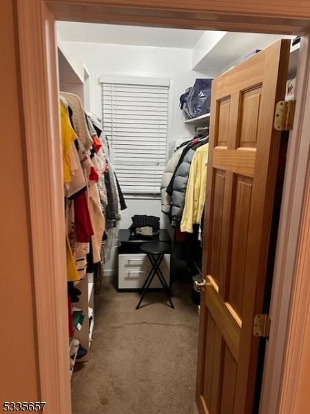 spacious closet featuring dark carpet