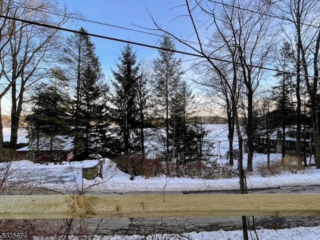 view of yard layered in snow