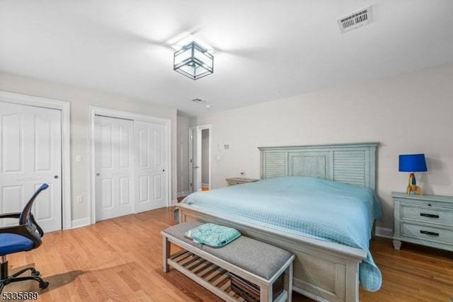 bedroom featuring light wood-type flooring and two closets