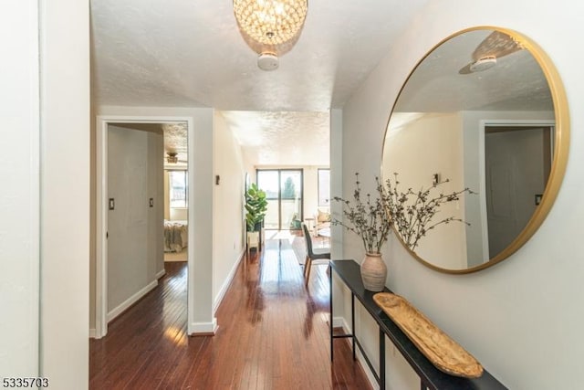 hallway featuring dark hardwood / wood-style floors