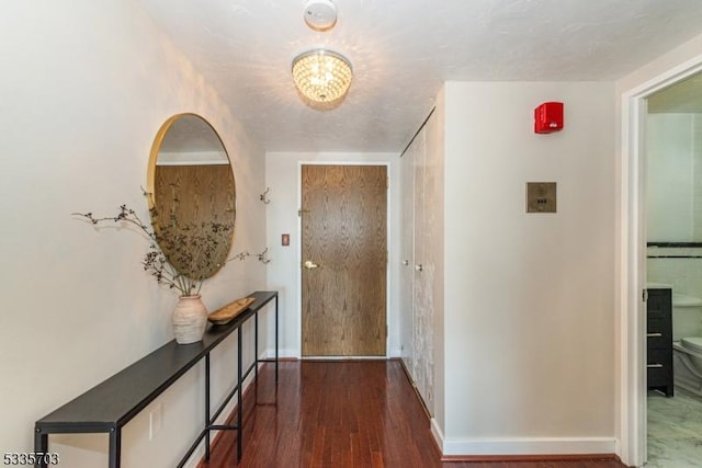 hallway with dark wood-type flooring