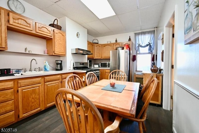 kitchen featuring appliances with stainless steel finishes, sink, and dark hardwood / wood-style floors