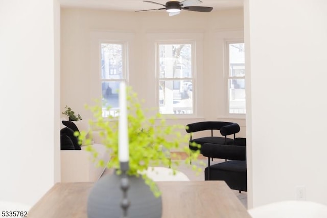 interior space with ceiling fan