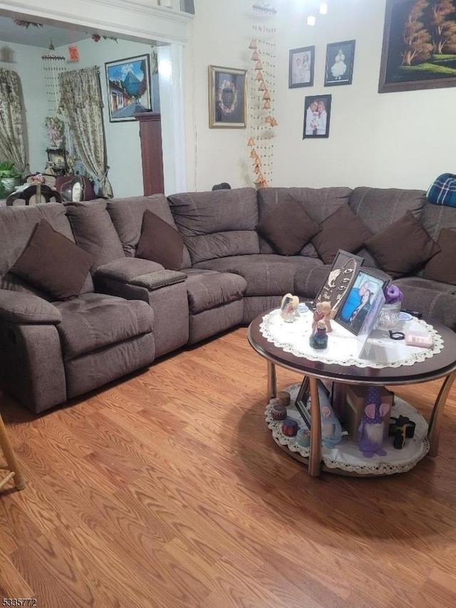 living room with hardwood / wood-style floors