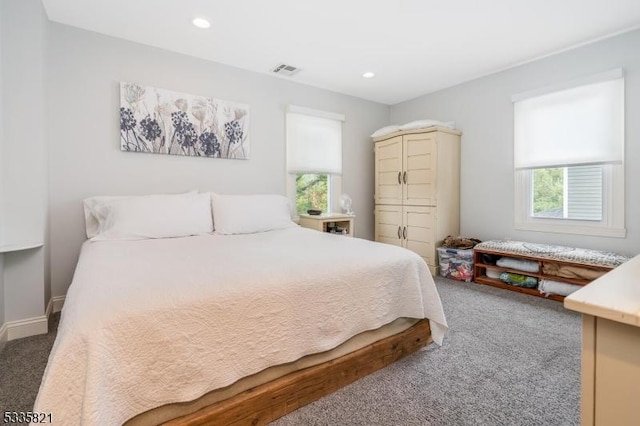 carpeted bedroom with multiple windows