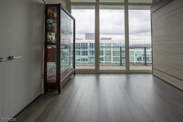 spare room featuring hardwood / wood-style flooring, a wealth of natural light, and a wall of windows