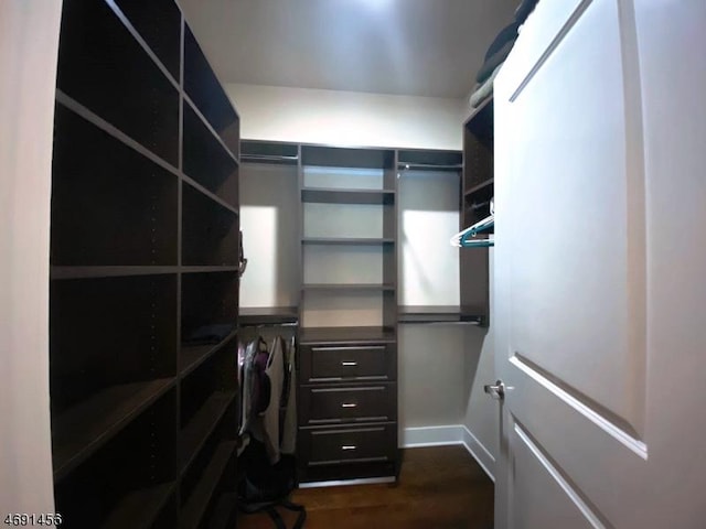 walk in closet with dark wood-type flooring