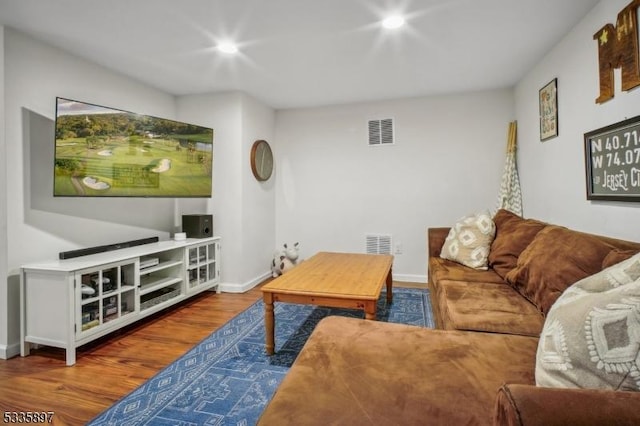 living room featuring wood-type flooring