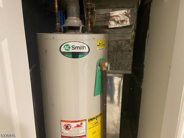 utility room with gas water heater