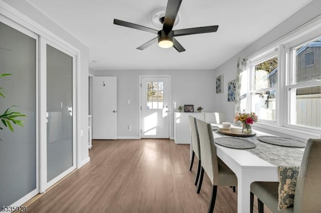 dining space with wood-type flooring and ceiling fan