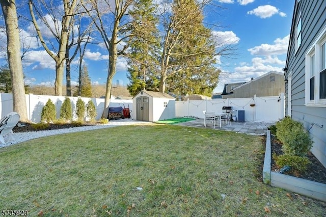 view of yard with a patio area and a storage unit