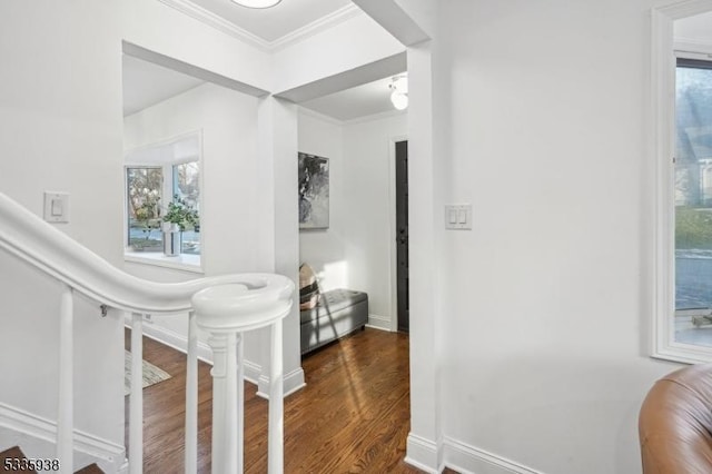 hall featuring ornamental molding and dark hardwood / wood-style floors