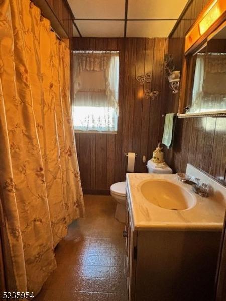 bathroom featuring vanity, wooden walls, and toilet