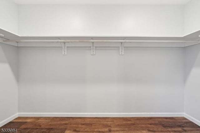 spacious closet featuring wood finished floors