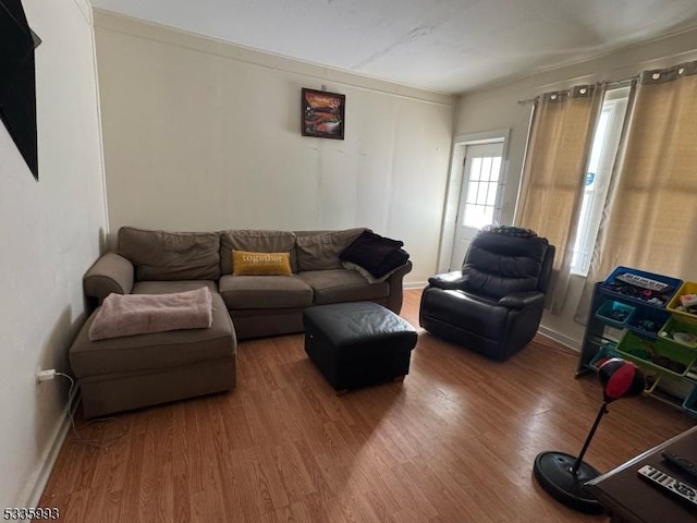 living room with hardwood / wood-style flooring