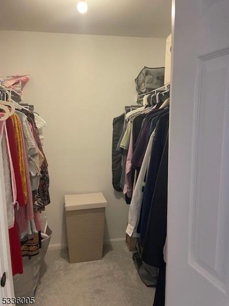 walk in closet featuring light colored carpet