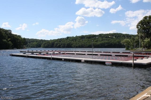 view of dock with a water view