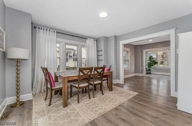 dining room with hardwood / wood-style floors and a wealth of natural light