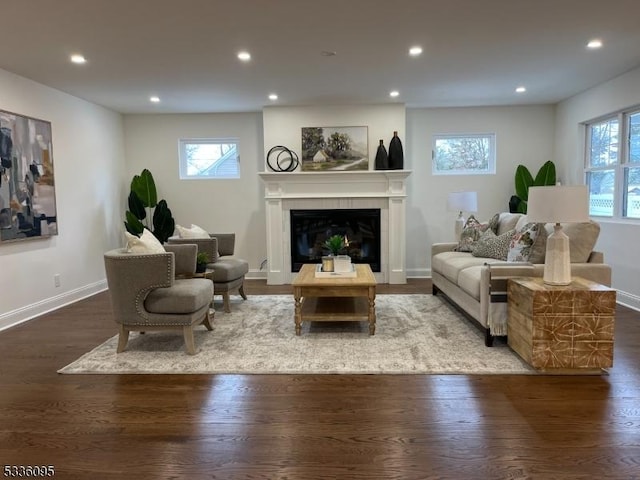 living room with wood-type flooring