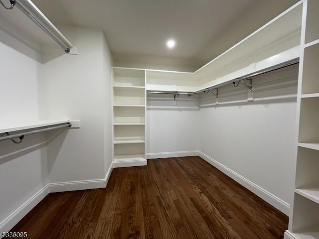 spacious closet featuring dark hardwood / wood-style flooring