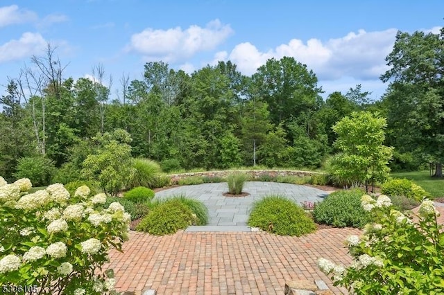 view of home's community with a patio area