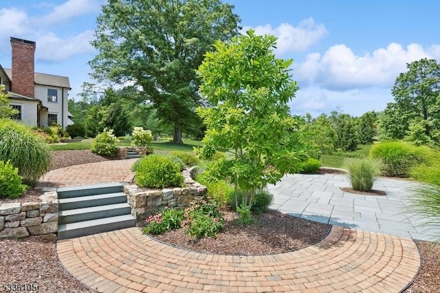 view of yard featuring a patio