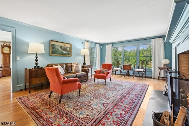 living room featuring light wood-type flooring