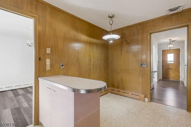 interior space with a baseboard radiator and wooden walls