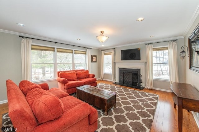 living room with crown molding and wood-type flooring