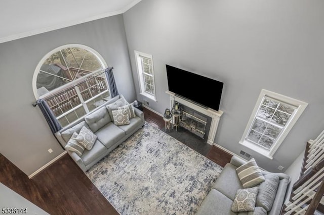 living room with crown molding and wood-type flooring