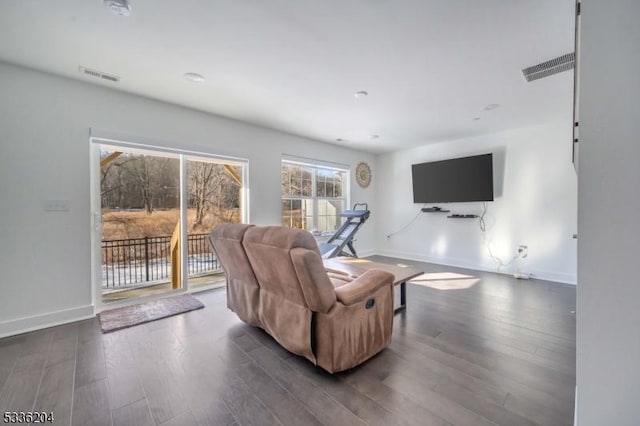 living room featuring dark hardwood / wood-style flooring