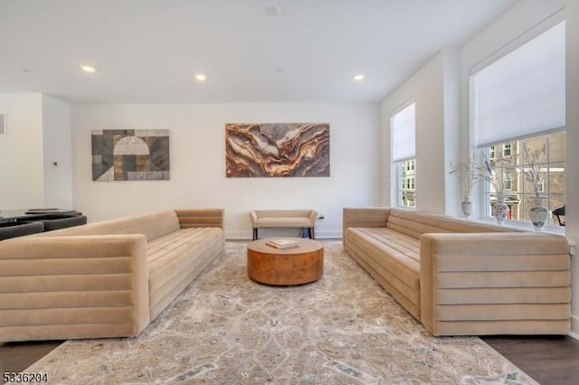 living room featuring hardwood / wood-style flooring