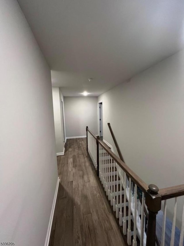 hallway with dark wood-type flooring