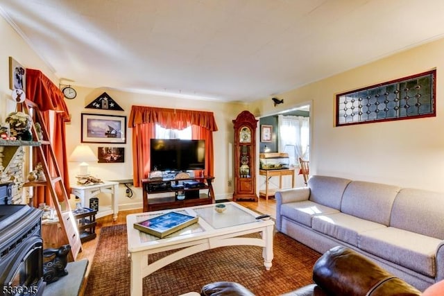 living room with hardwood / wood-style flooring and a wood stove