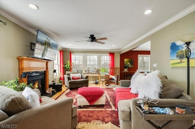 living room featuring hardwood / wood-style flooring, crown molding, and ceiling fan