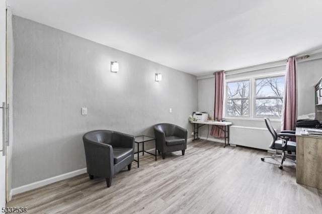 office featuring light wood-type flooring