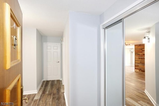 hallway featuring wood-type flooring