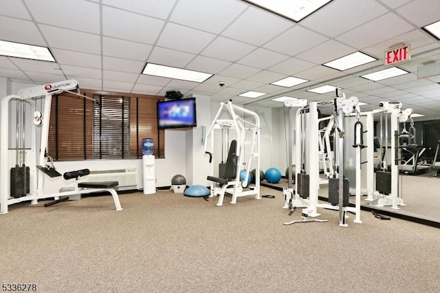 exercise room with carpet flooring and a drop ceiling