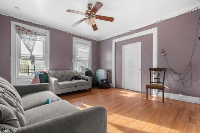 living room featuring radiator, ceiling fan, and light wood-type flooring