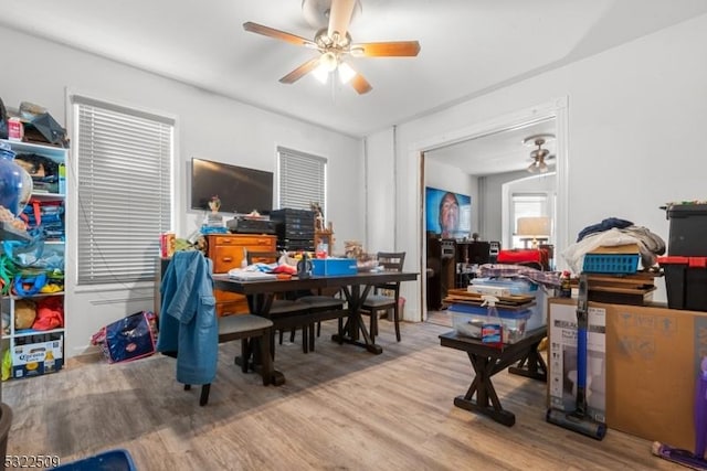 dining space featuring light hardwood / wood-style flooring and ceiling fan