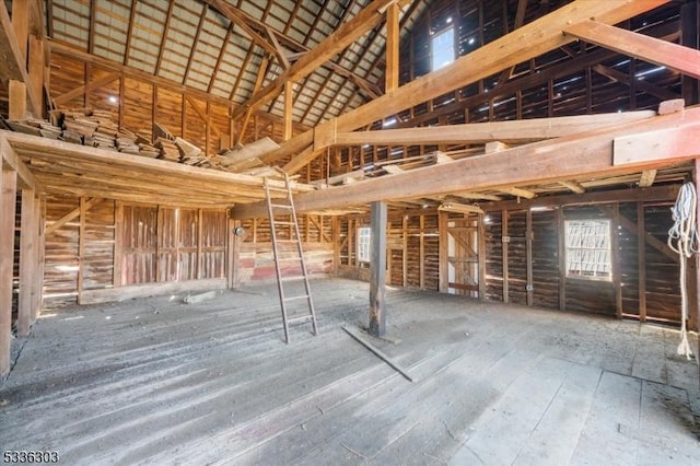 miscellaneous room with vaulted ceiling