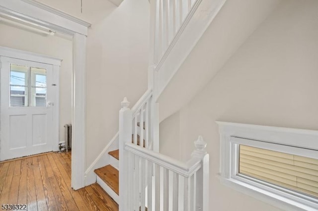 entryway featuring hardwood / wood-style floors and radiator heating unit