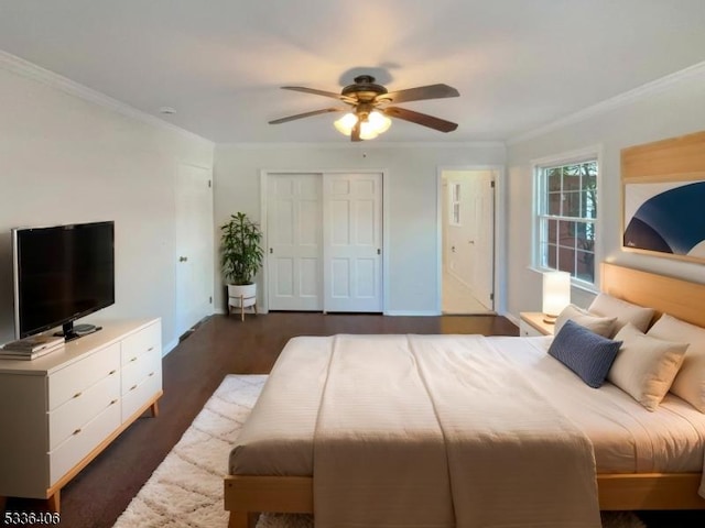 bedroom featuring crown molding, ceiling fan, dark hardwood / wood-style flooring, and a closet