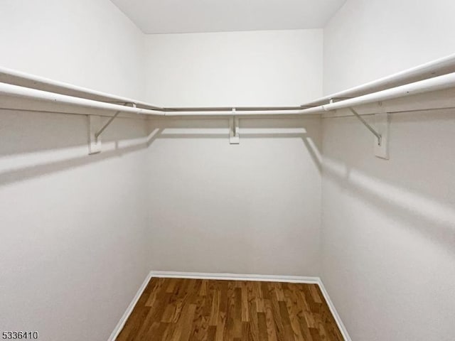 spacious closet featuring hardwood / wood-style floors