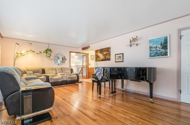 living room with wood-type flooring