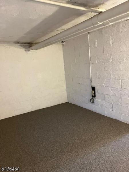 basement with carpet