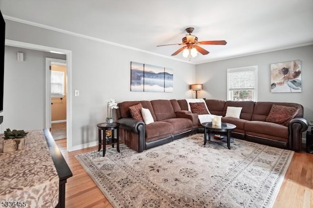 living room with crown molding and light hardwood / wood-style floors